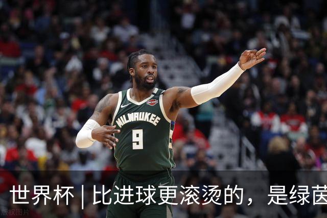 世界杯 | 比进球更滚烫的，是绿茵场上的爱