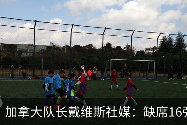 加拿大队长戴维斯社媒：缺席16强战令我遗憾 但会以更强姿态回归
