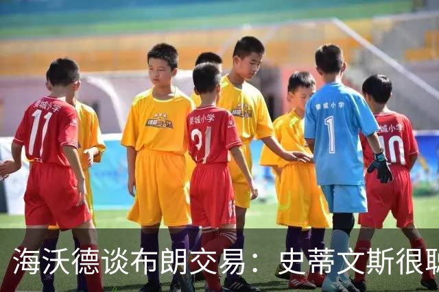 海沃德谈布朗交易：史蒂文斯很聪明 他做这个决定肯定深思熟虑过